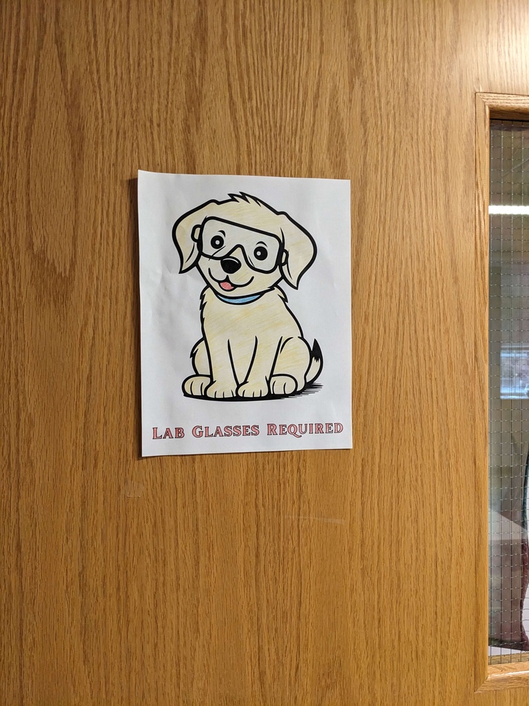 Nathan's Lab Safety Dog