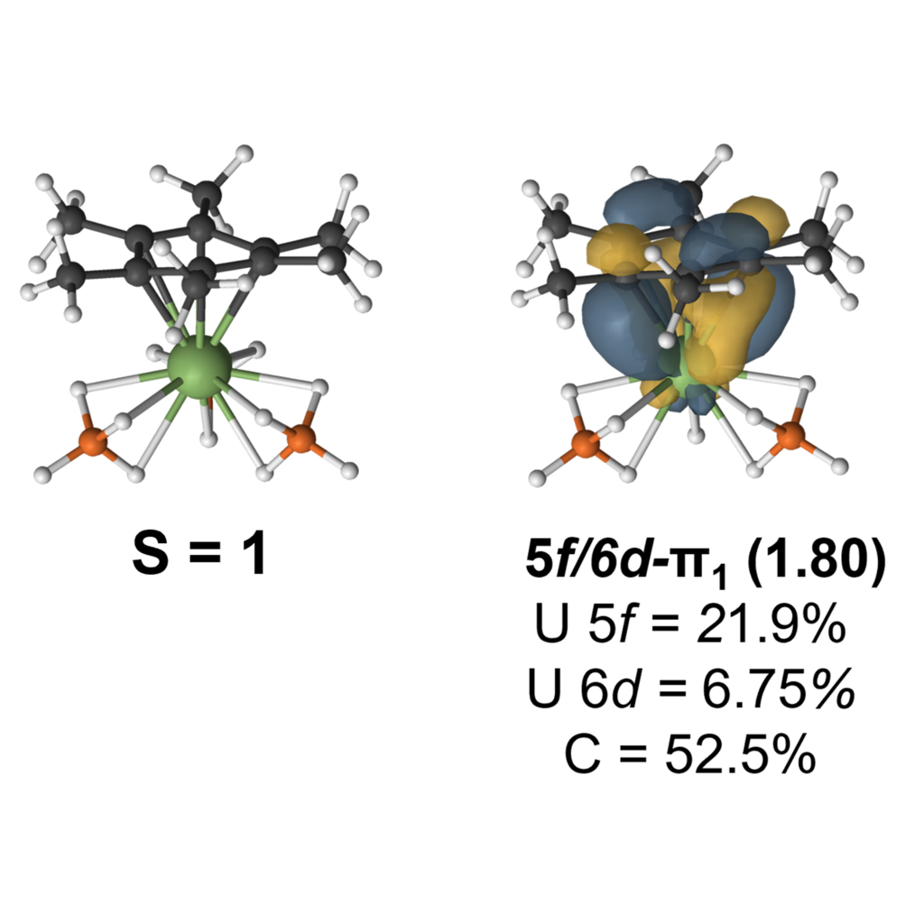 U(arene)(BH4)3 anion for the low spin state. The orbital involved in the delta bond is shown.