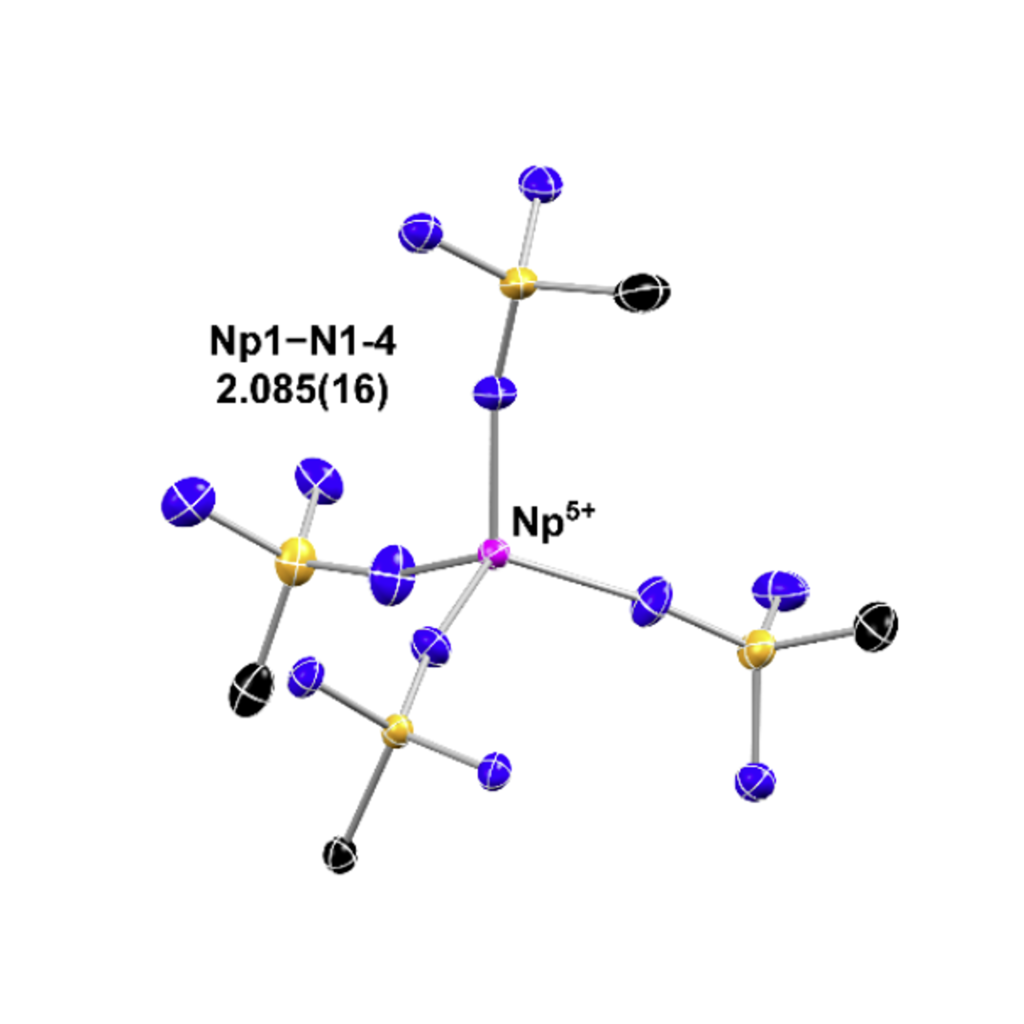 An image of a tetrahedral Np(V) complex that our group recently modeled.